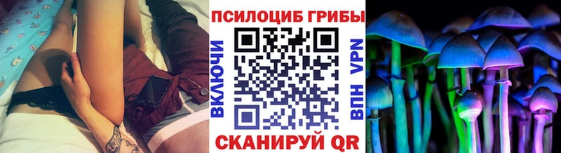 Псилоцибиновые грибы Magic Shrooms Купить закладки Собинка